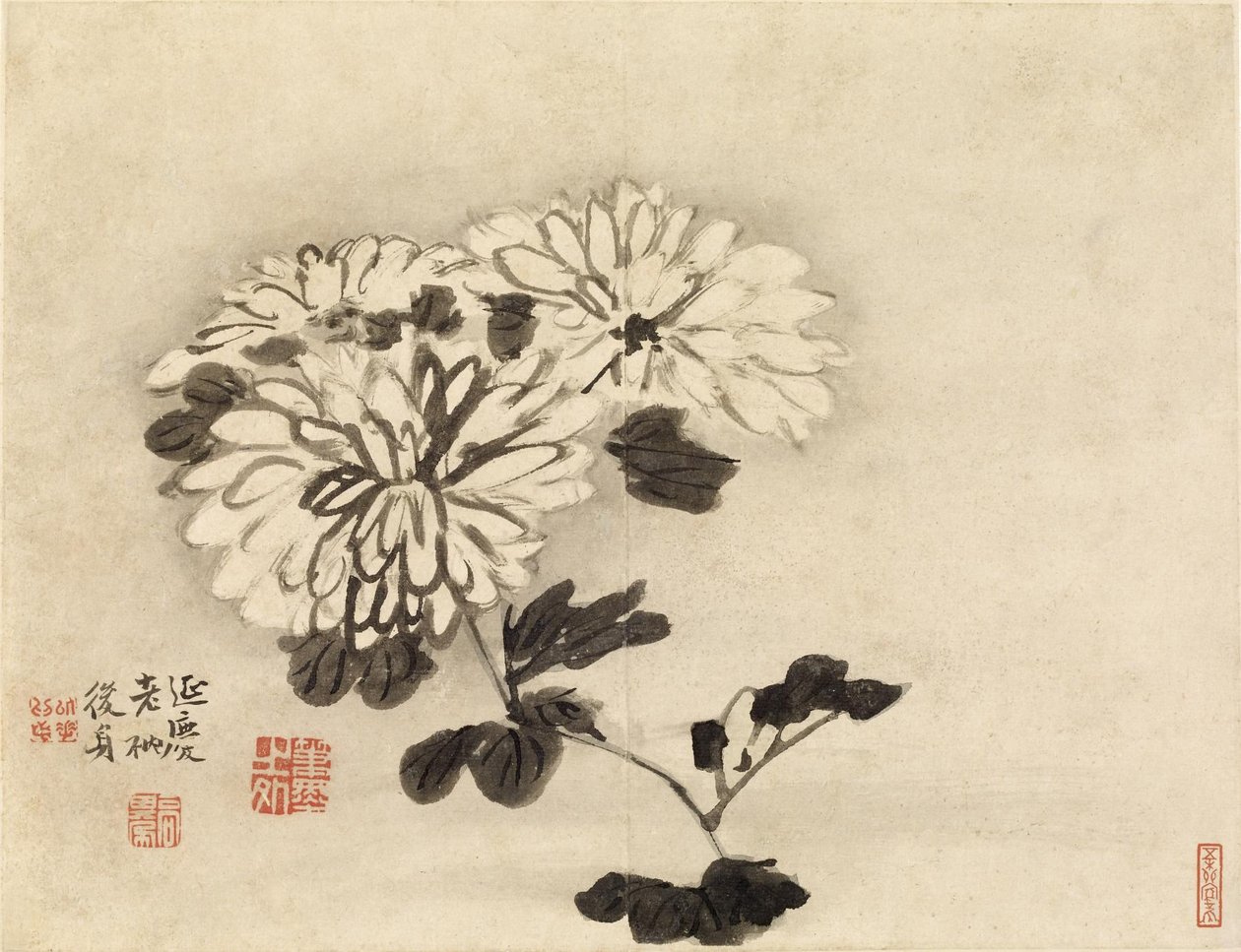 Crisantemi da Gao Qipei