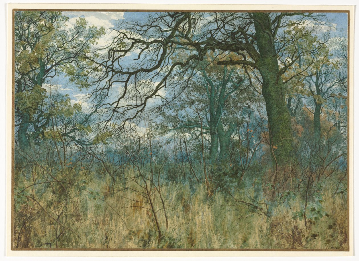 Alberi e Sottobosco, 1885 da Garden William Fraser