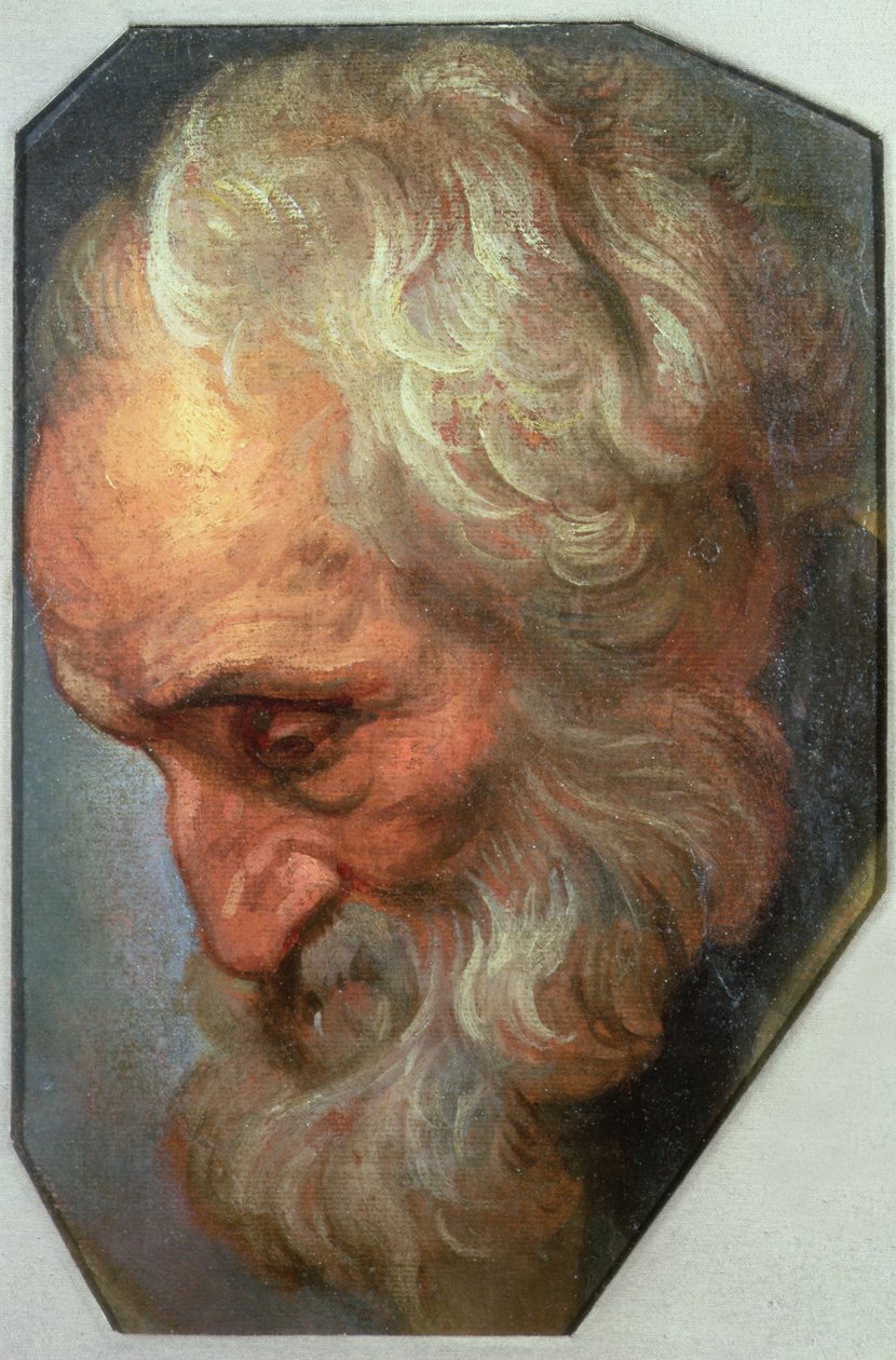Testa di un apostolo da Gaspar De Crayer