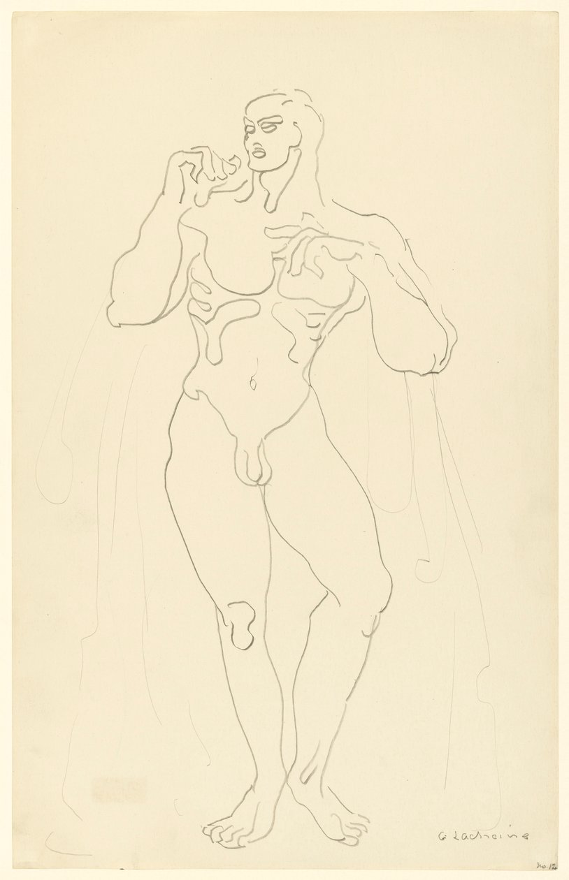 Nudo maschile n. 12 da Gaston Lachaise
