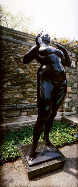 Donna in piedi (Elevazione) da Gaston Lachaise