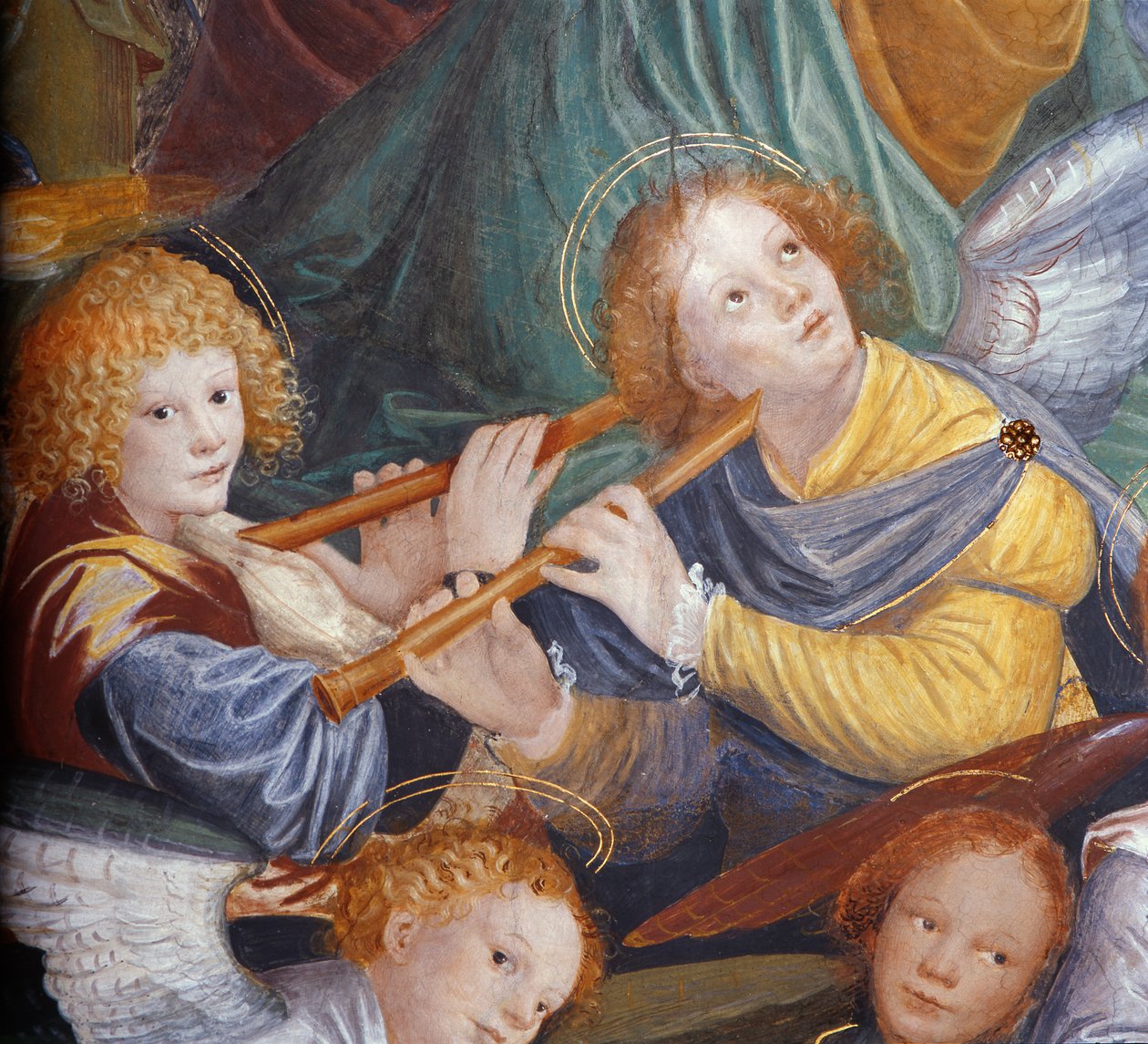 Il Concerto degli Angeli, 1534-36 (dettaglio) da Gaudenzio Ferrari