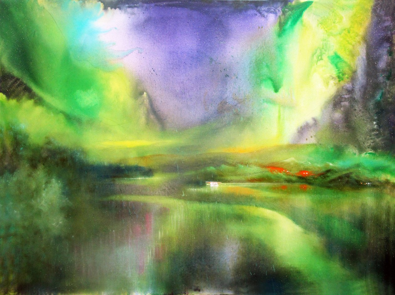 Aurora Boreale da Geert Bordich