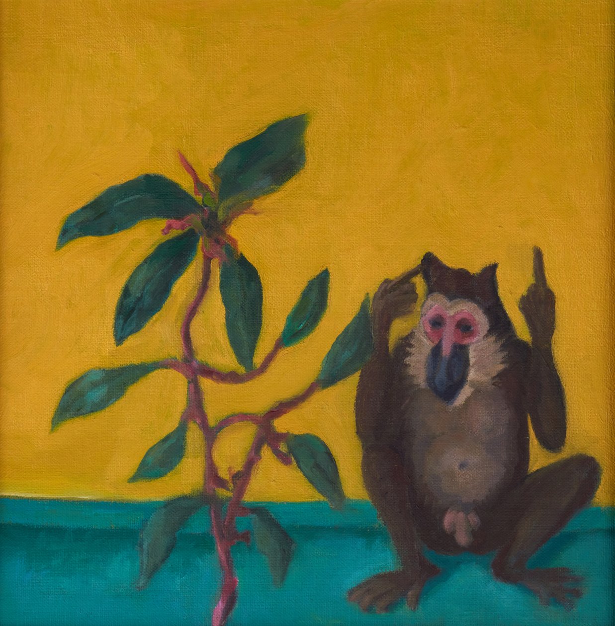 La scimmia dice no, 2024 (olio su tavola) da Genevieve French