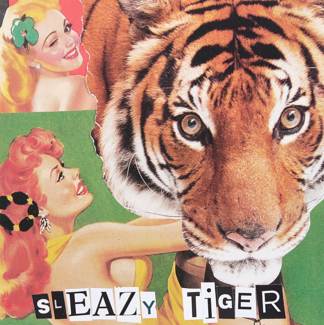 Tigre sonnacchiosa, 2019 (collage) da Genevieve French