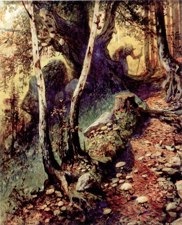 Caccia ai funghi nella vecchia foresta da Georg Janny