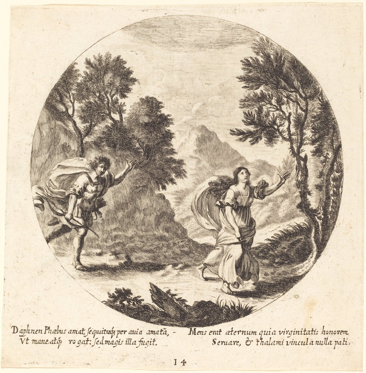 Apollo e Dafne da Georg Andreas Wolfgang the Elder