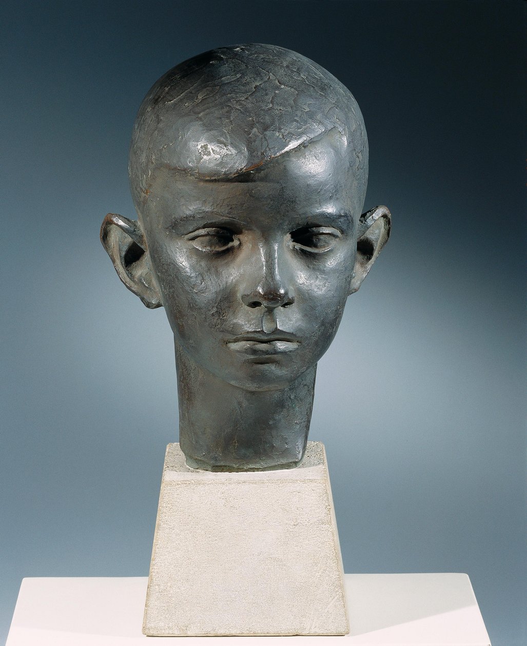 Testa del ragazzo da Georg Kolbe