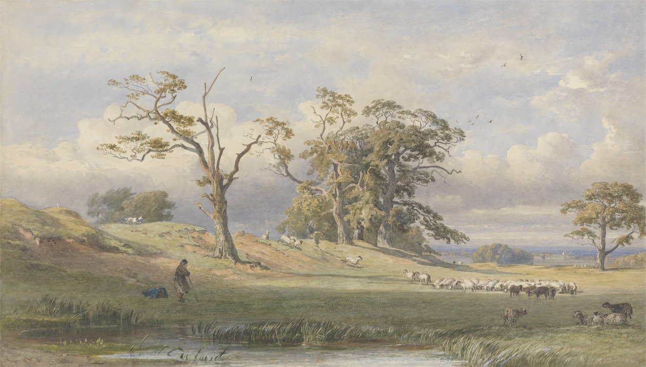 Vecchio Campo Britannico nel Parco di Bulstrode, 1860 da George Arthur Fripp