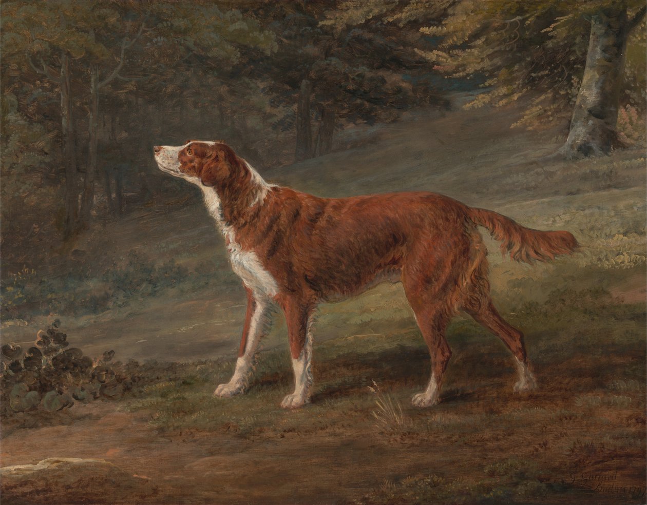 Ranger da George Garrard