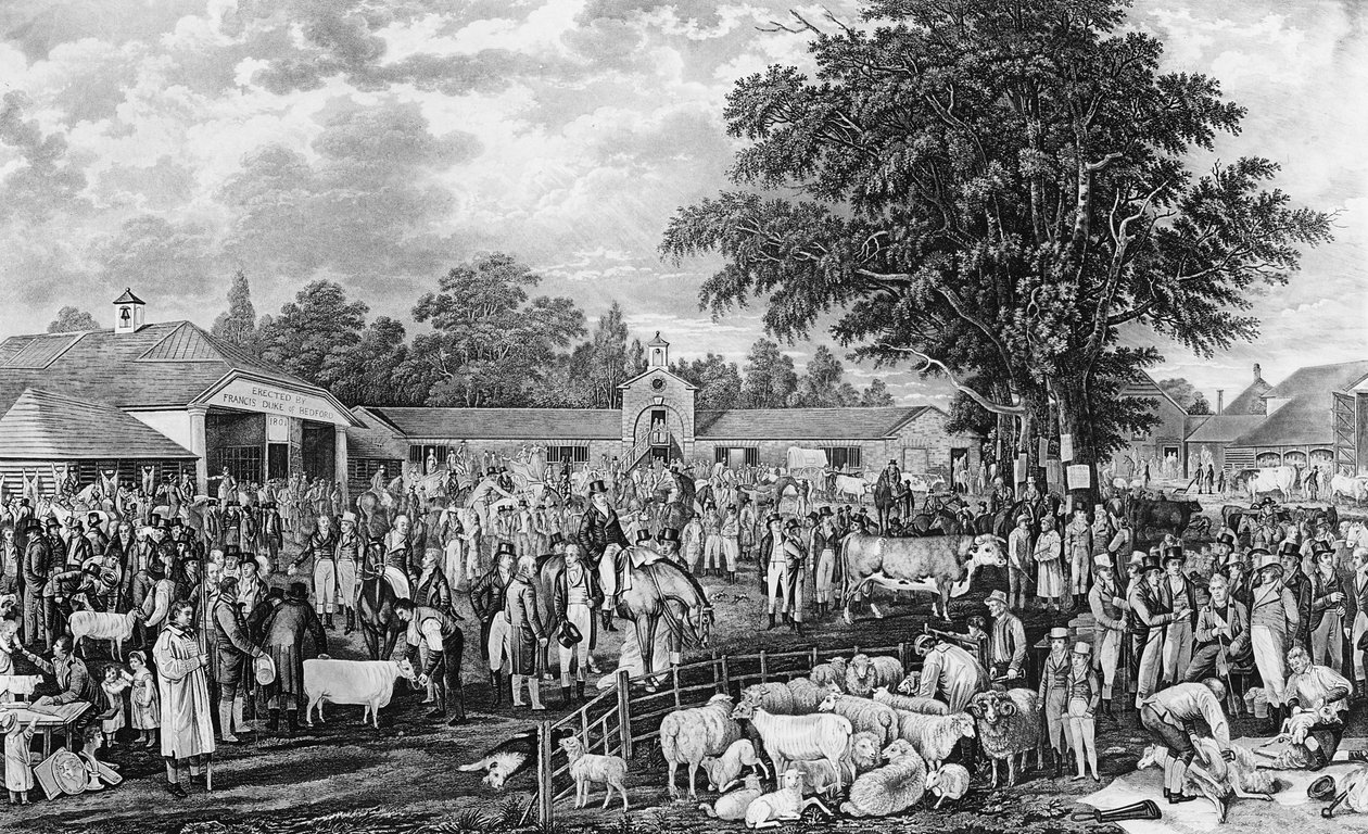 Tosatura delle pecore a Woburn, inciso da Thomas Morris, 1811 da George Garrard