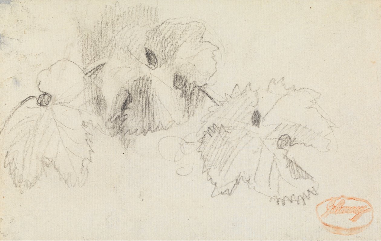 Foglie 1 da George Romney