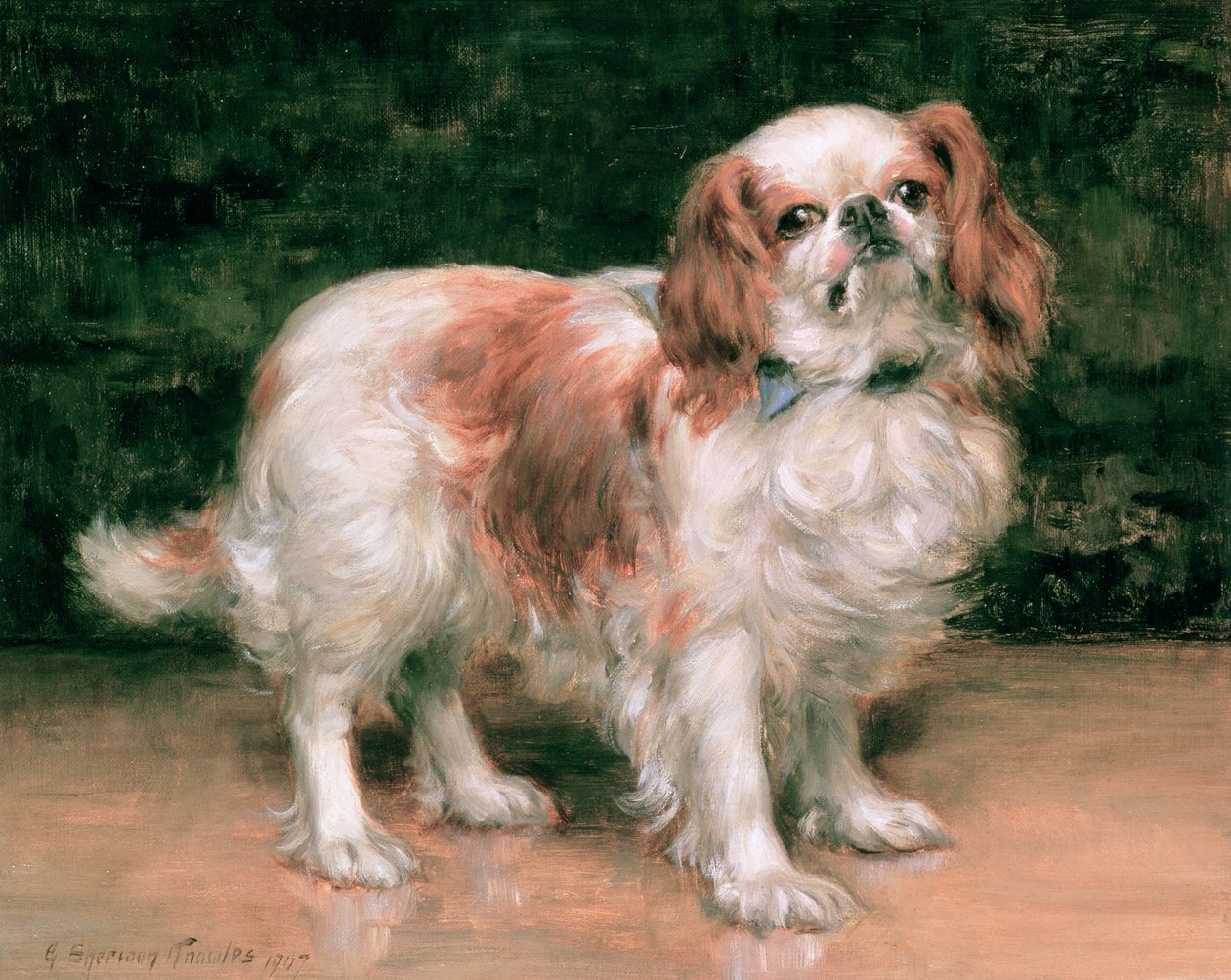 King Charles Spaniel, 1907 da George Sheridan Knowles