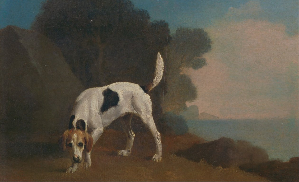 Segugio da George Stubbs