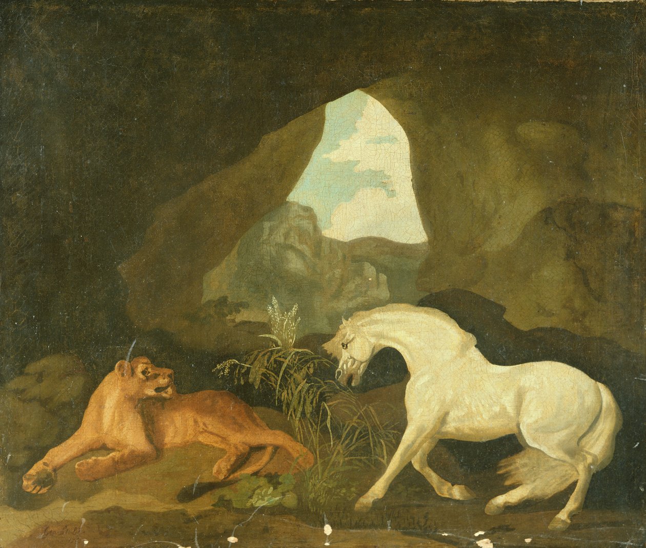 Leonessa e stallone bianco da George Stubbs