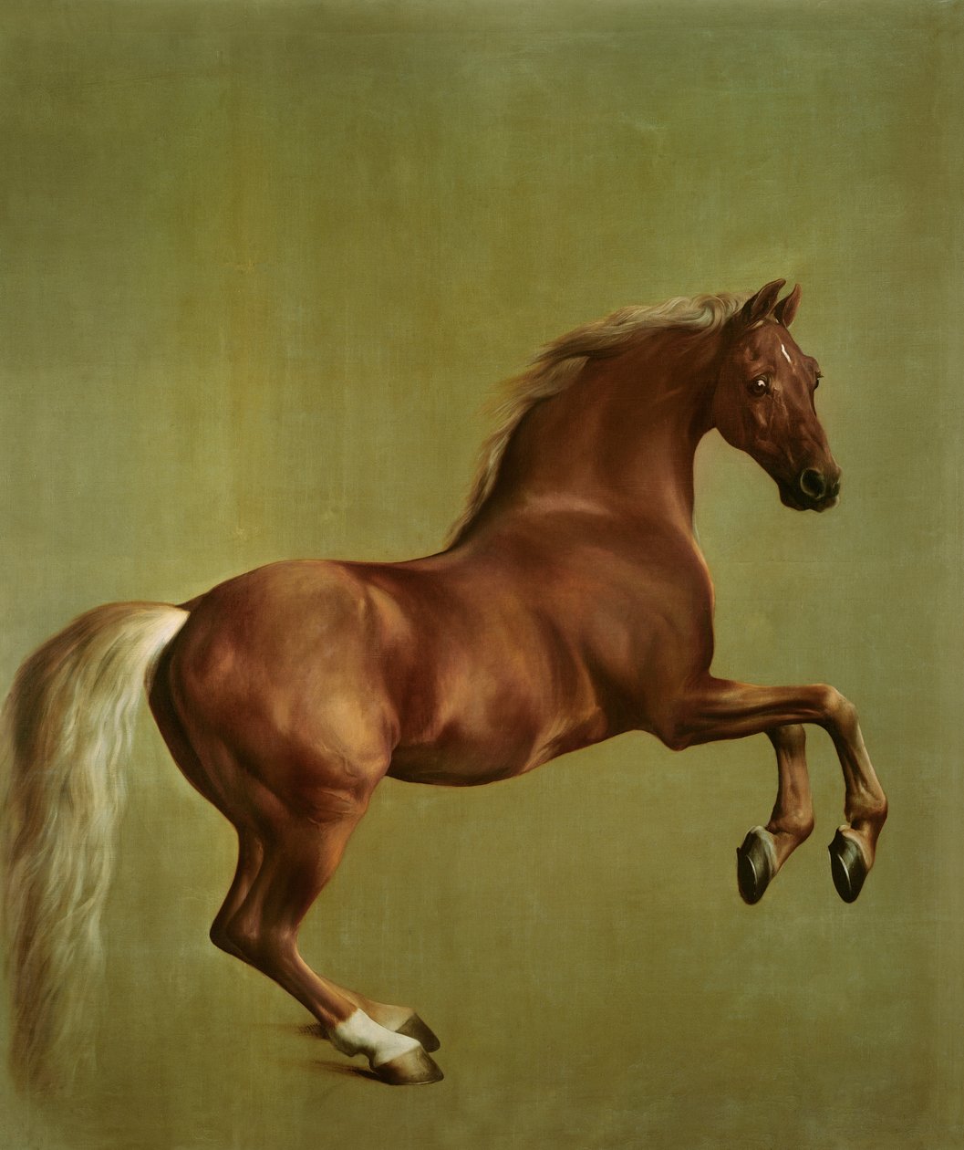 Whistlejacket, 1762 da George Stubbs