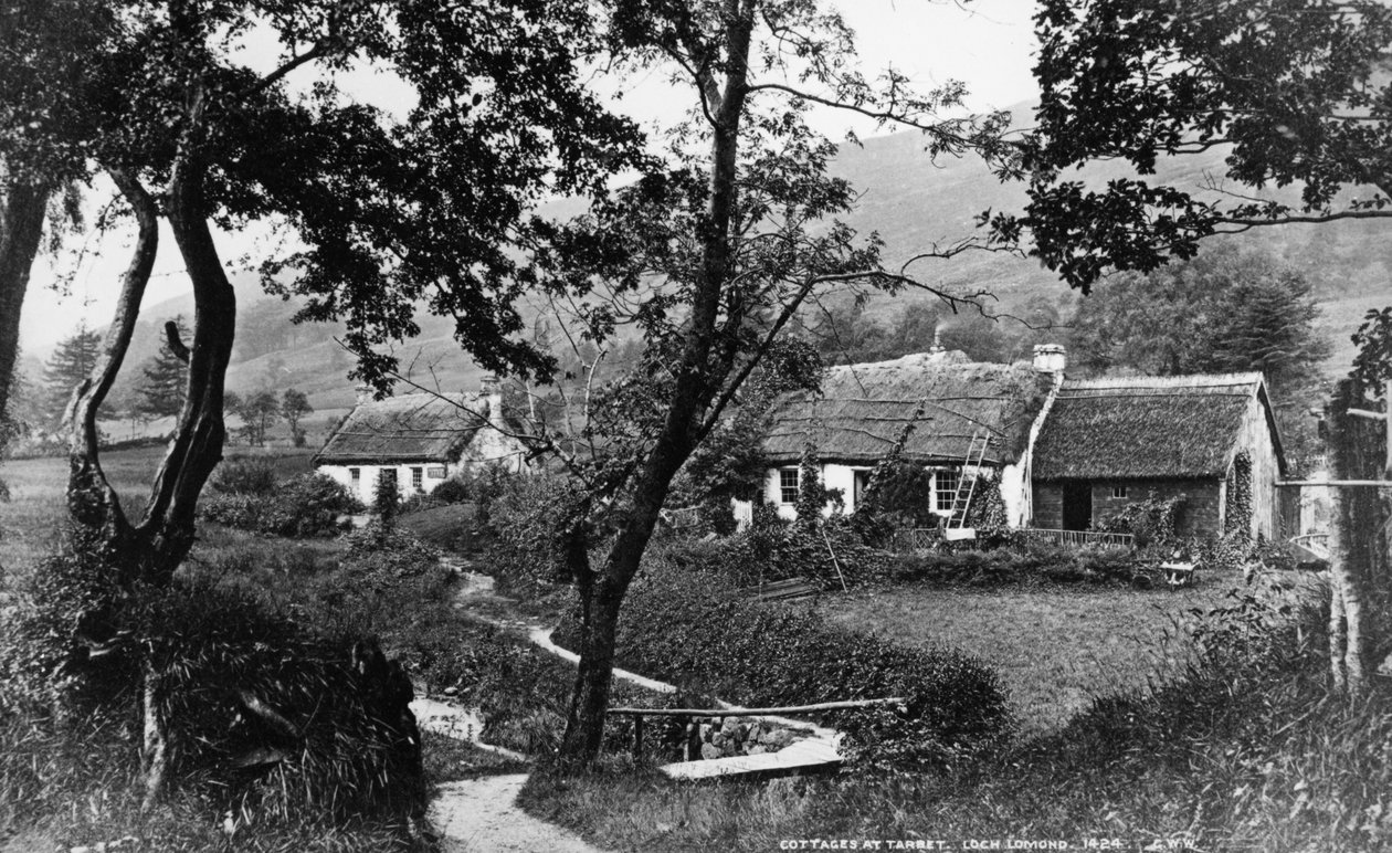 Cottage a Tarbet, Loch Lomond, c.1860-80 da George Washington Wilson