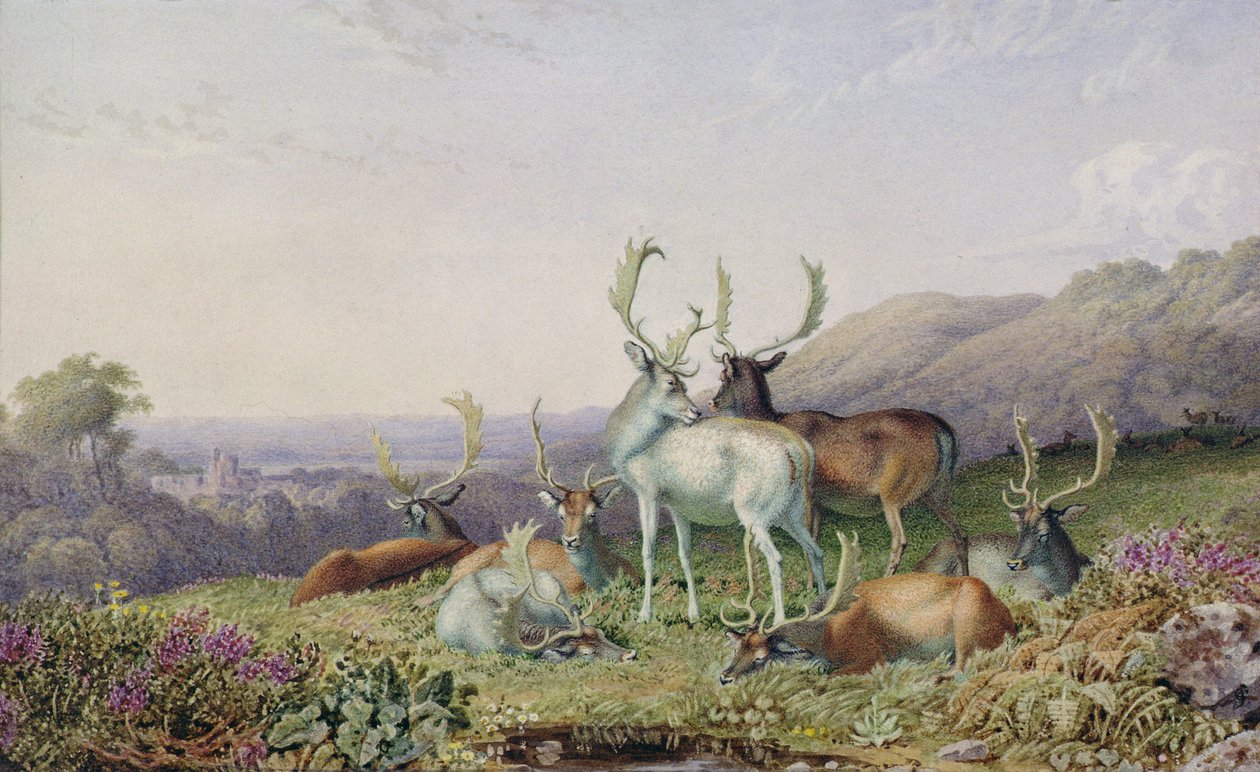 Cervi in un Paesaggio da George the Younger Barret
