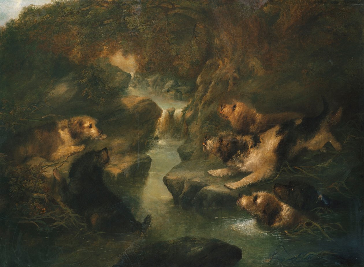 Caccia alla lontra, 1867 da George Armfield