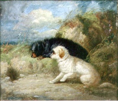 Terrier vicino a una tana di coniglio da George Armfield