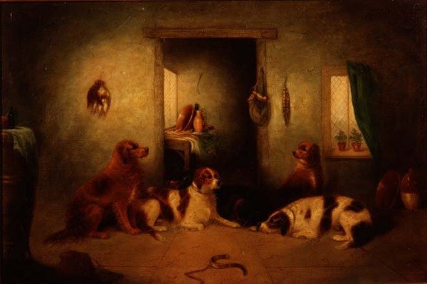 I cani della cucina da George Armfield