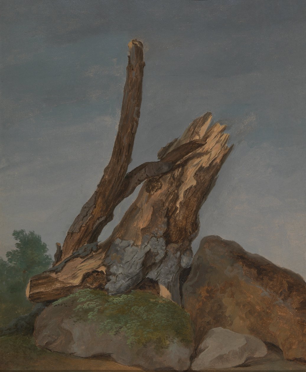 Studio di rocce e rami da George Augustus Wallis