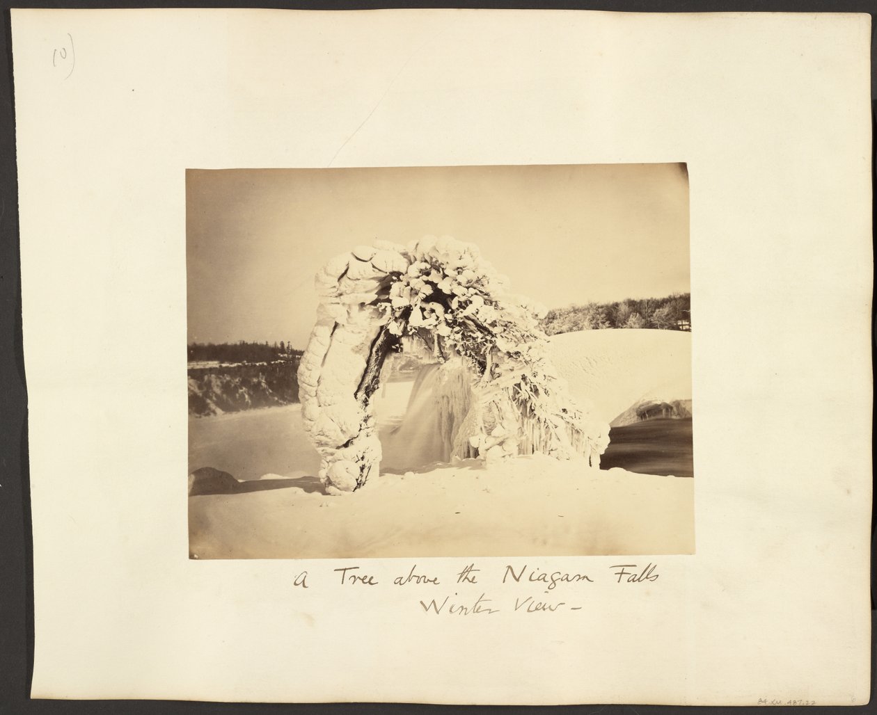 Un albero sopra le cascate del Niagara da George Barker