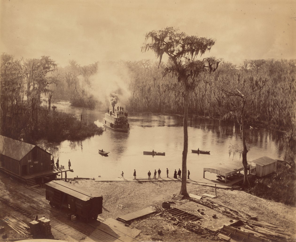 Silver Springs, Florida da George Barker
