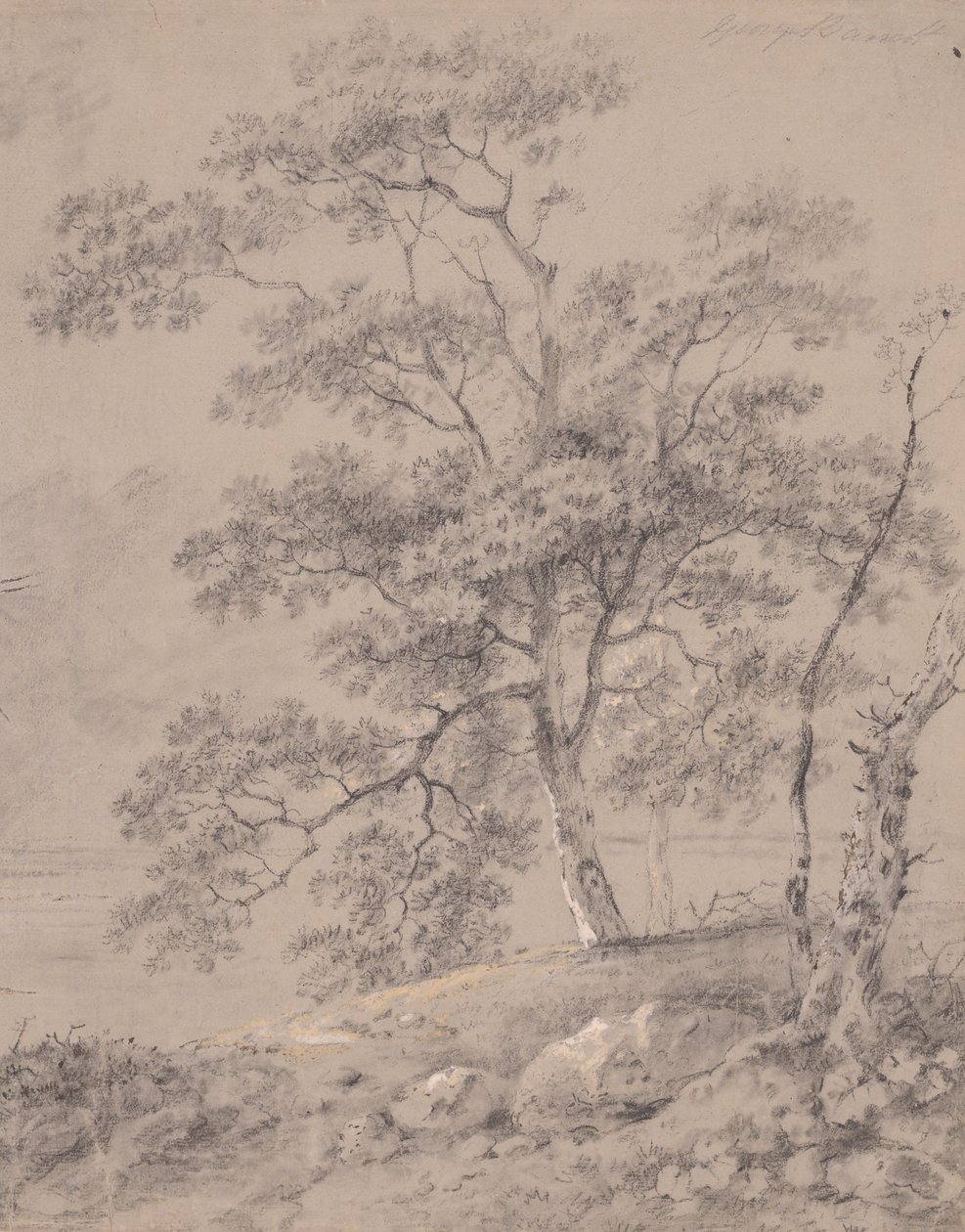 Studio di Albero da George Barret