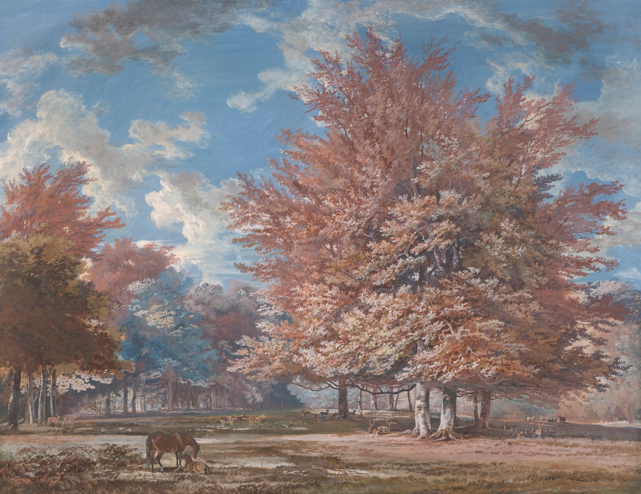 Vista in un Parco da George Barret