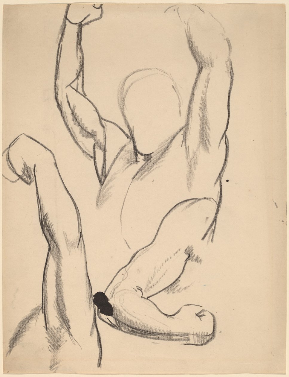 Braccia di un pugile da George Bellows