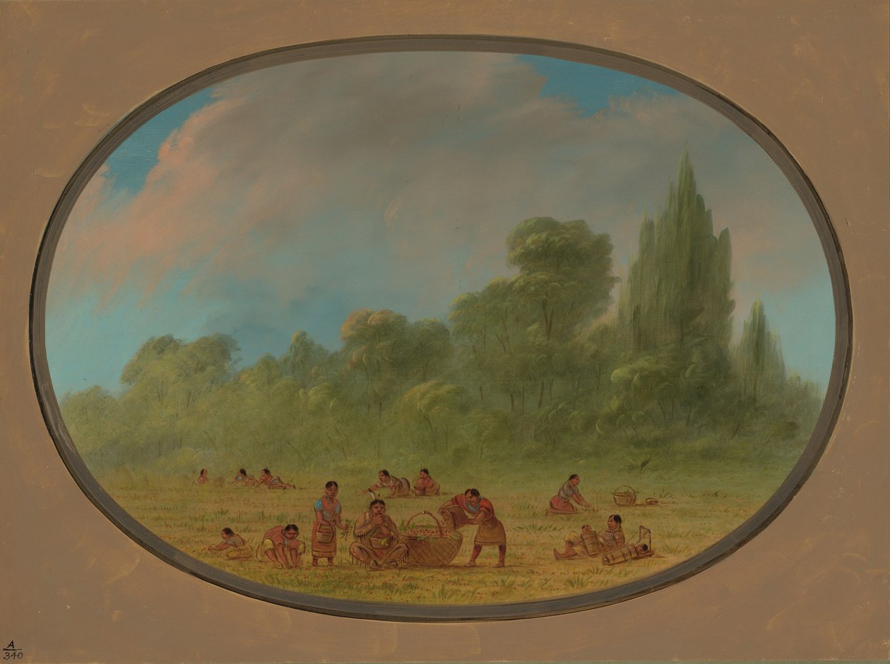 Indiani Caddoe che raccolgono fragole selvatiche, 1861-1869 da George Catlin