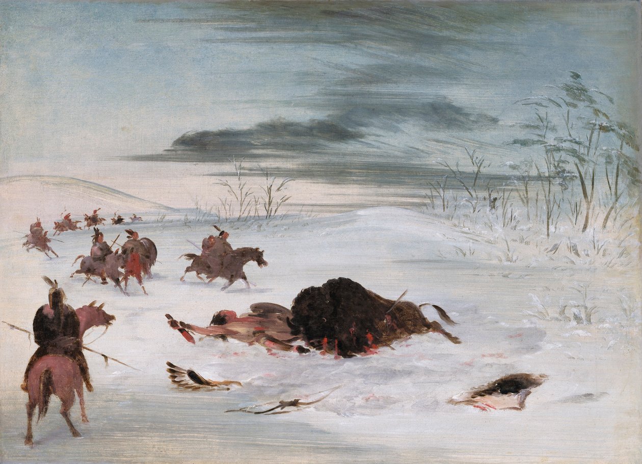 Toro bufalo morente in un cumulo di neve da George Catlin