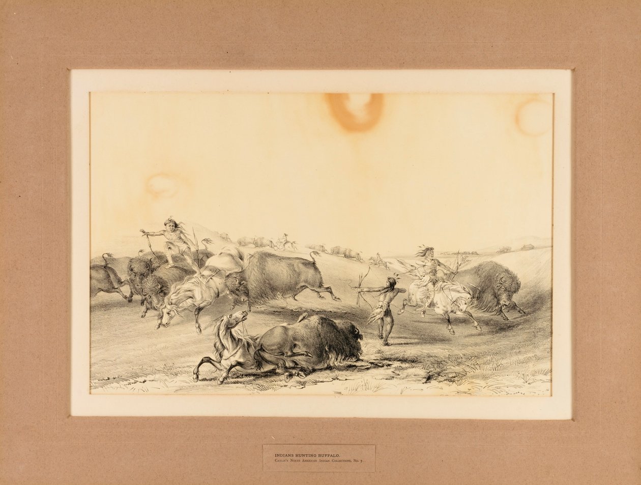 Indiani a caccia di bufali - n. 7 da George Catlin