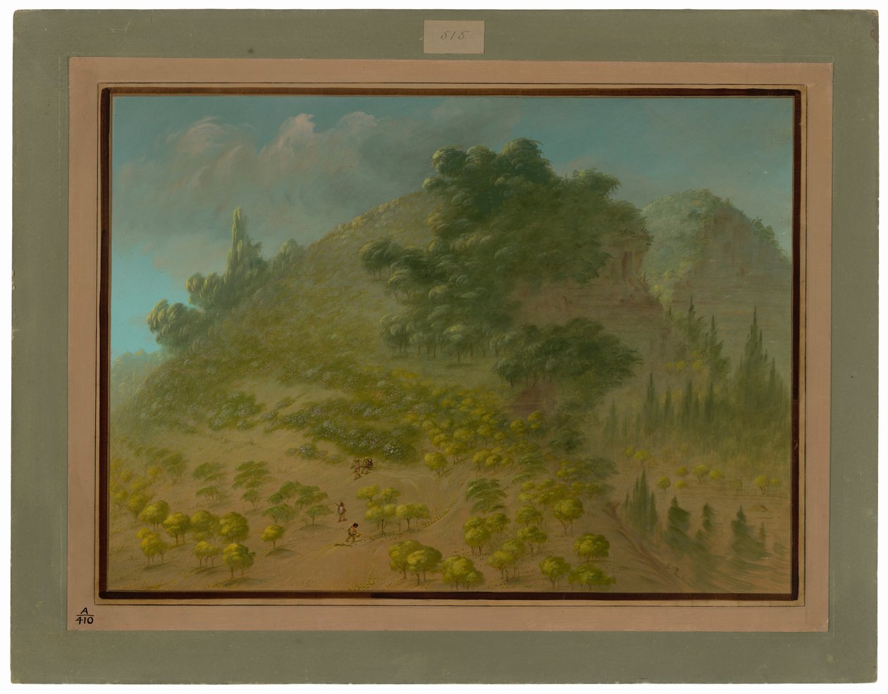 Montagna di Rododendri da George Catlin