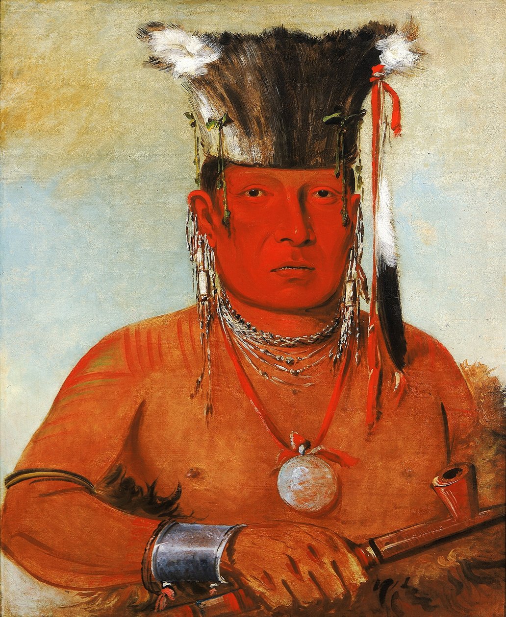 Sháw-da-mon-nee, Ecco che se ne va, un coraggioso da George Catlin