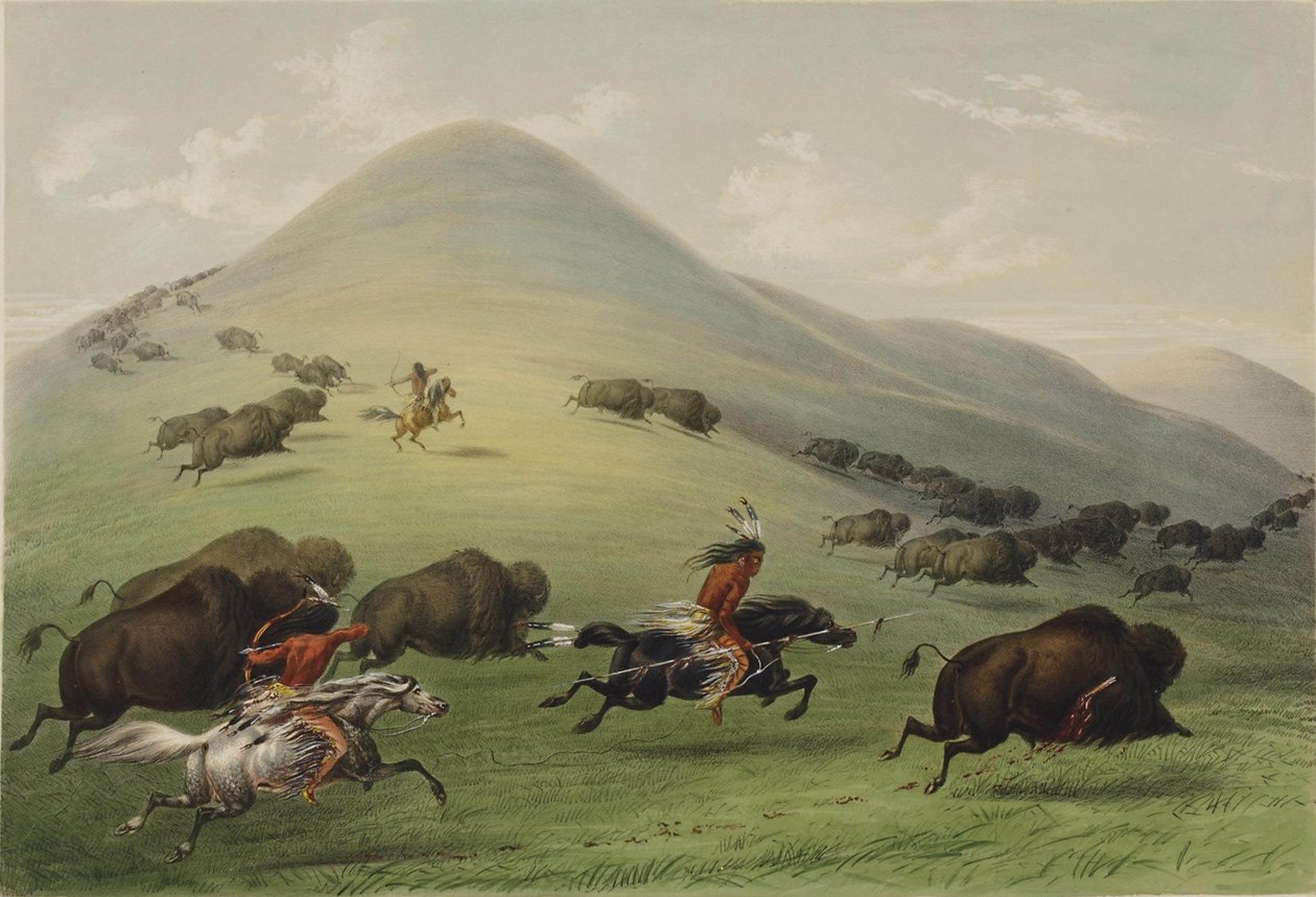 La Caccia al Bisonte da George Catlin