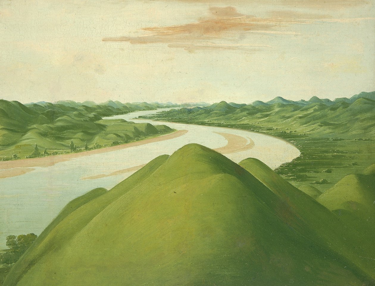 Vista nel "Cross Timbers", Texas da George Catlin