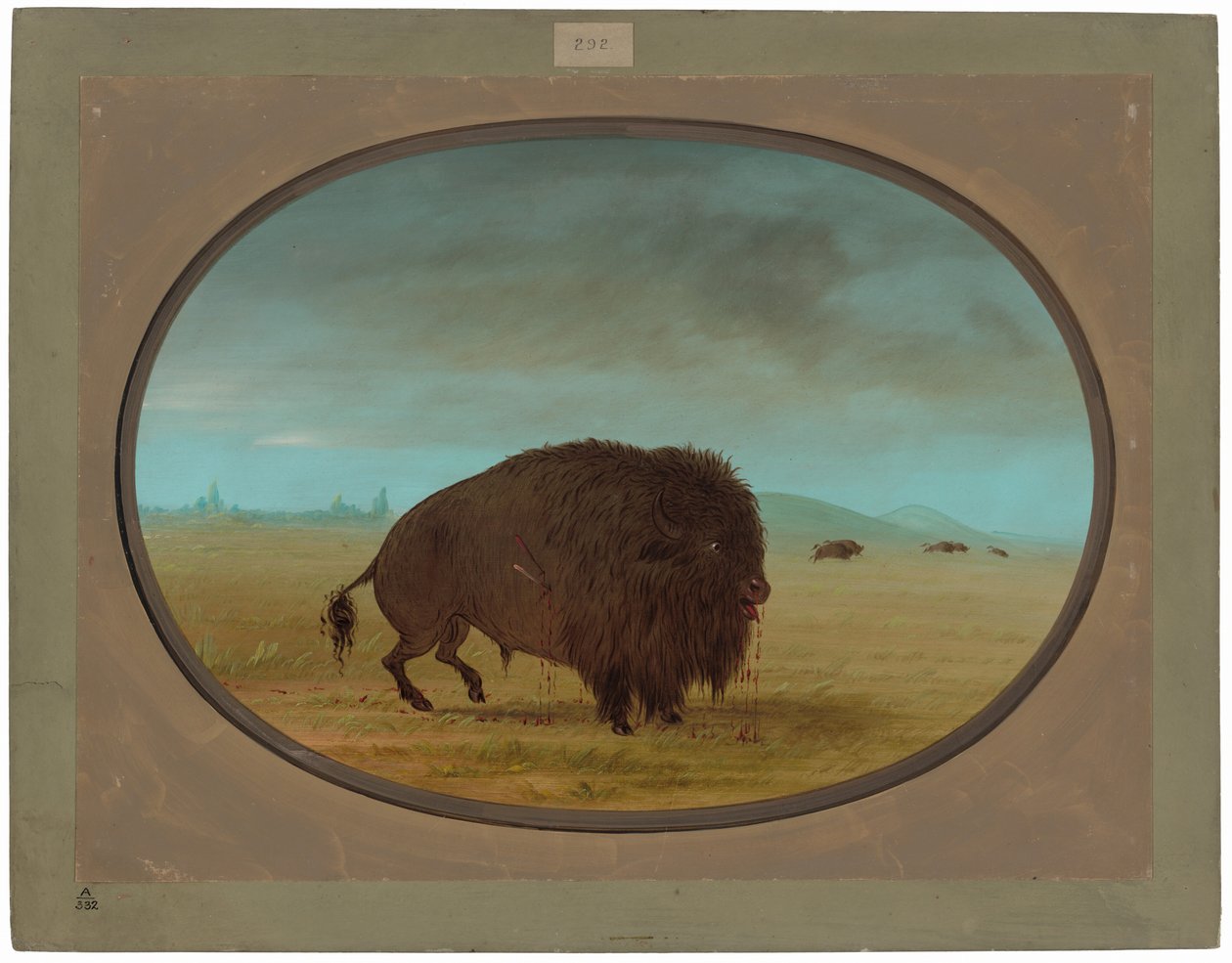 Bufalo ferito da George Catlin