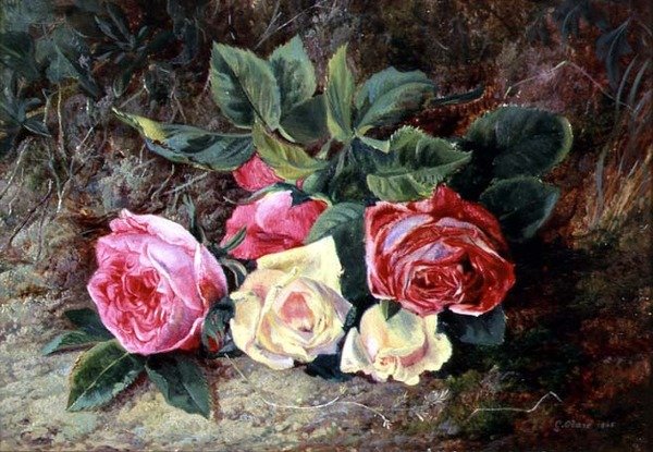Rose, 1865 da George Clare