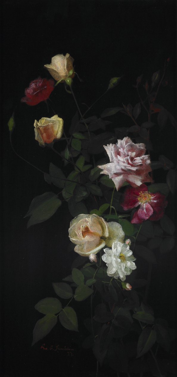 Natura morta da George Cochran Lambdin