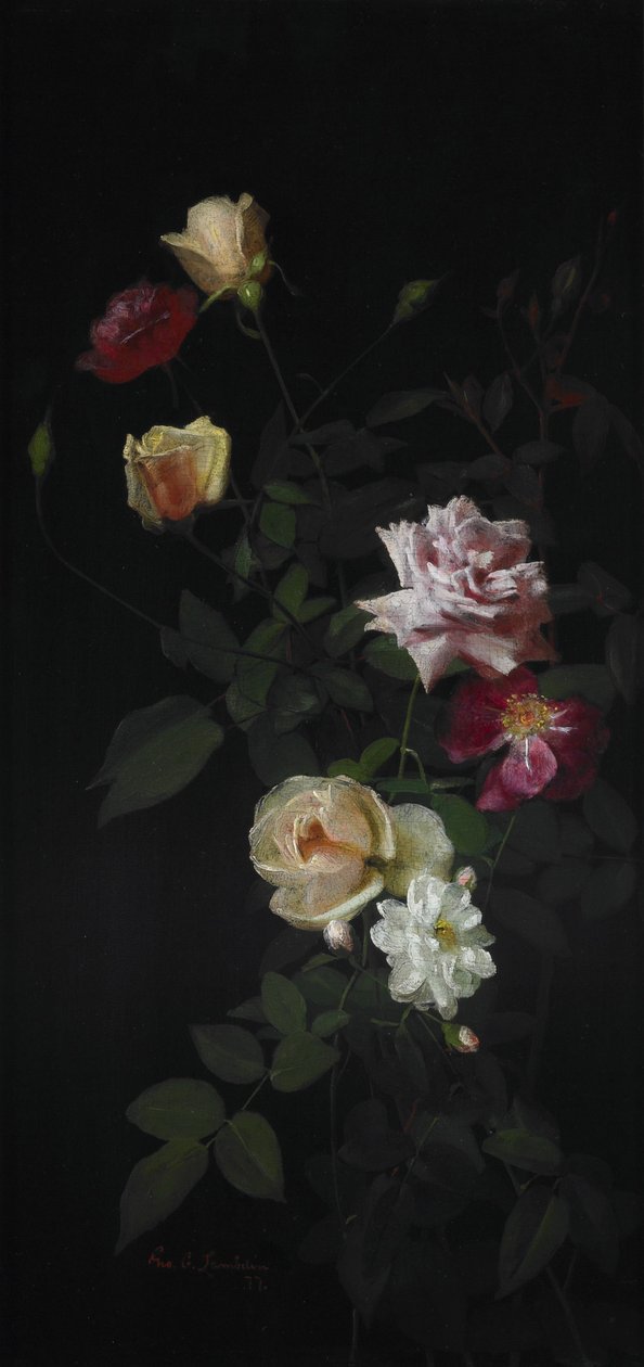 Natura morta da George Cochran Lambdin