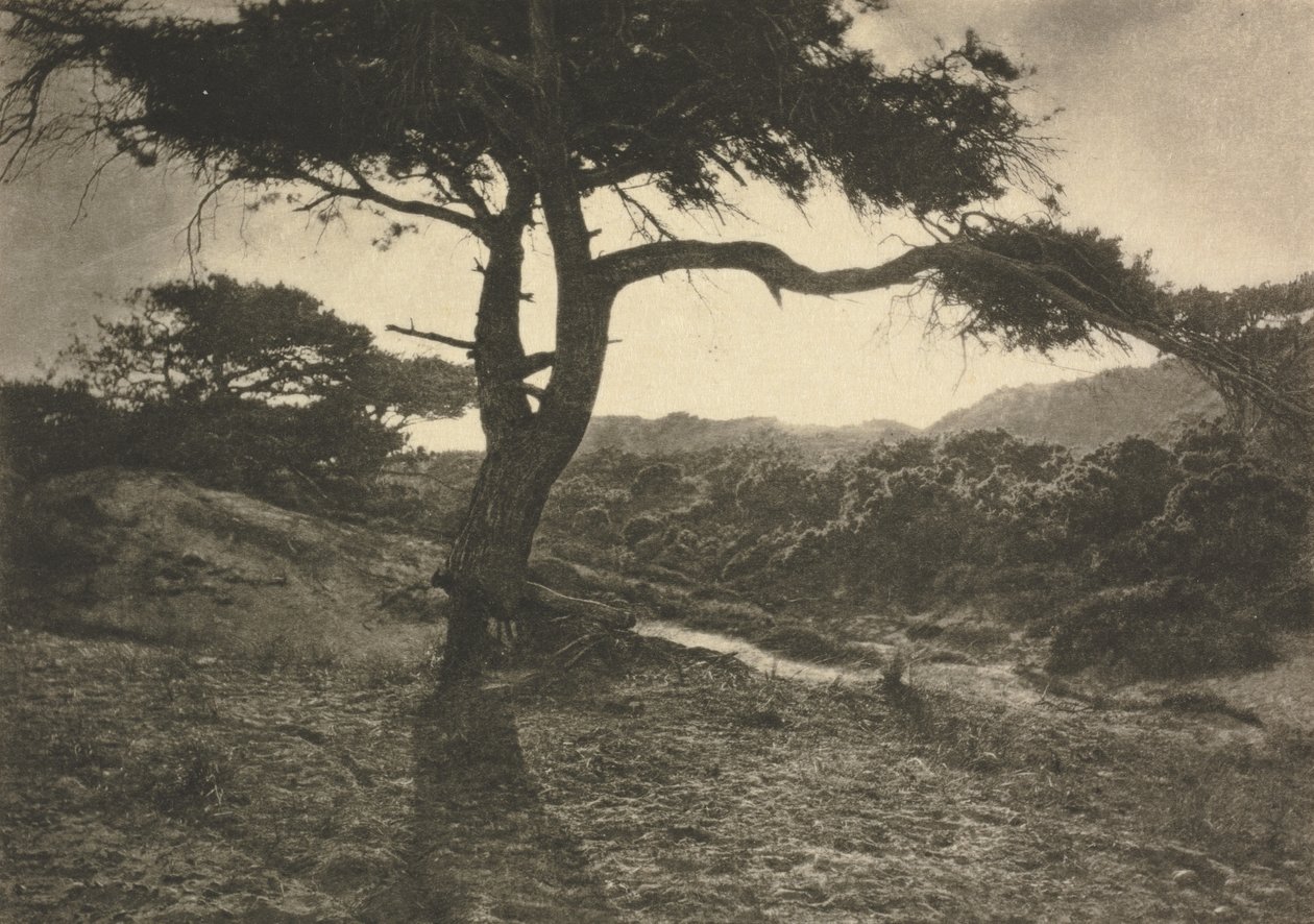Il Braccio Lungo da George Davison