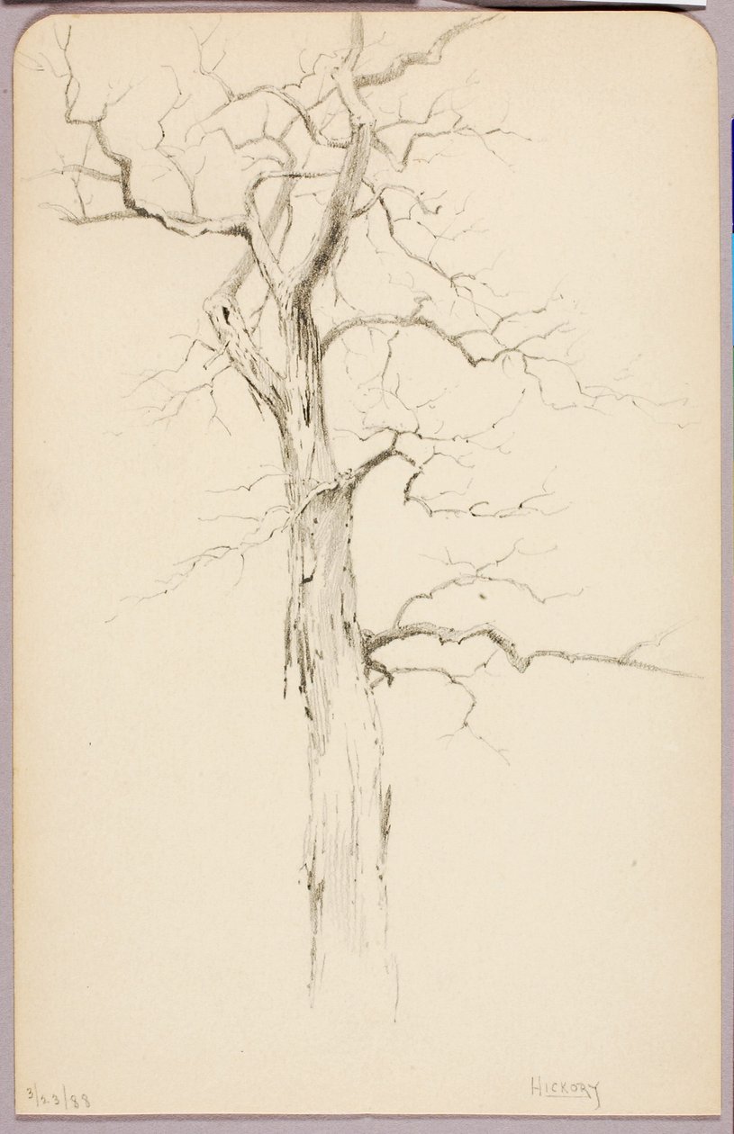 Hickory da George Elbert Burr
