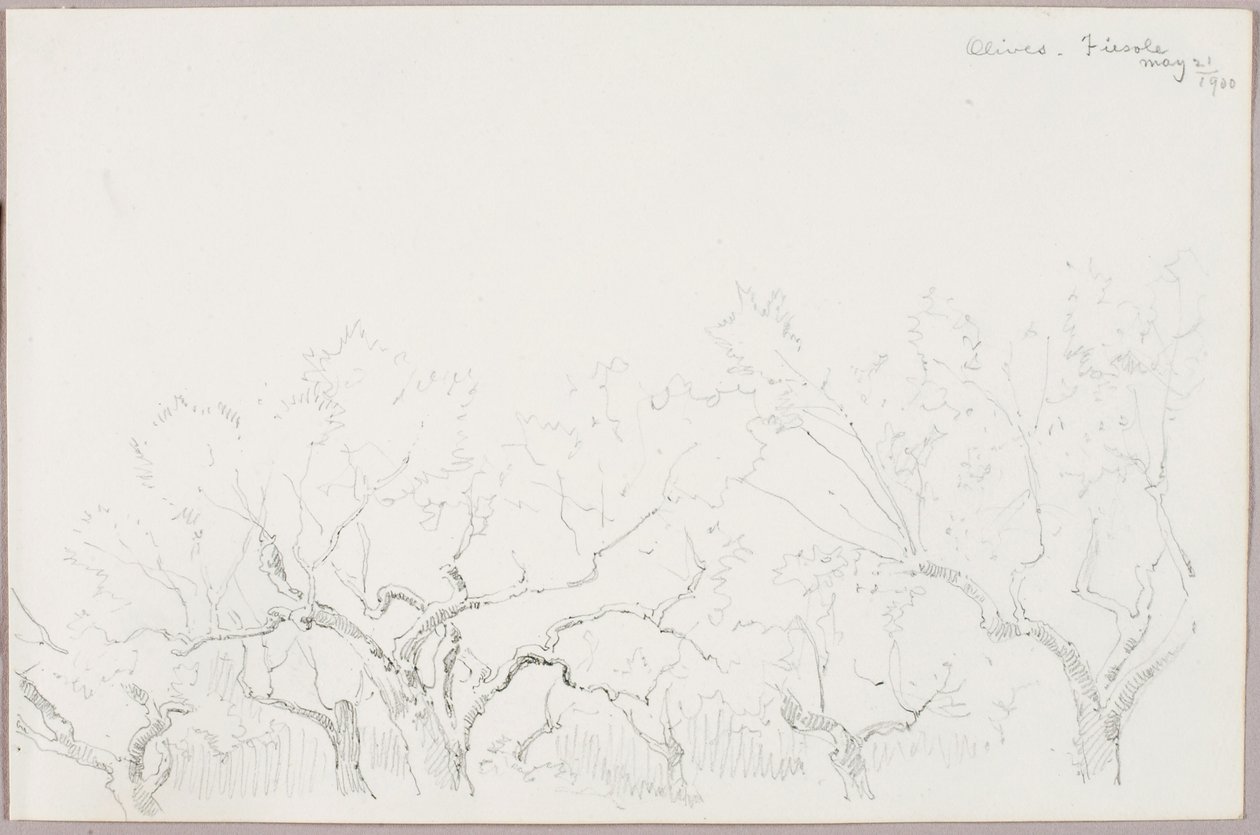 Olive--Fiesole da George Elbert Burr