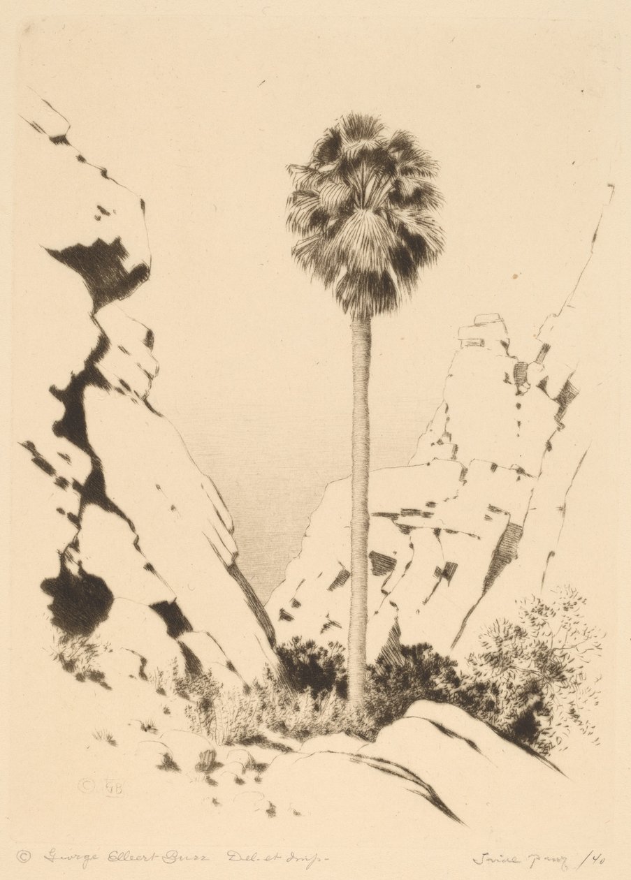 Canyon delle palme (n.1) da George Elbert Burr