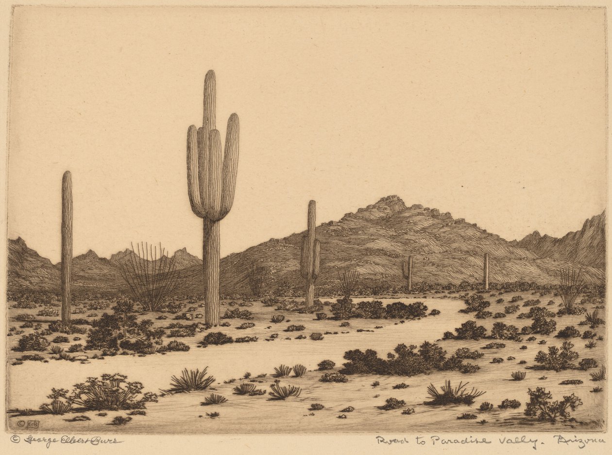 Strada per Paradise Valley, Arizona da George Elbert Burr