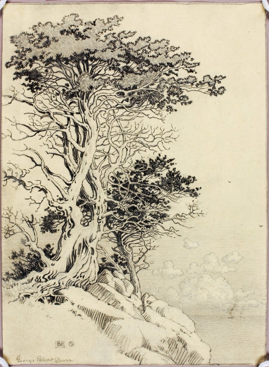Senza titolo (disegno per la stampa) da George Elbert Burr