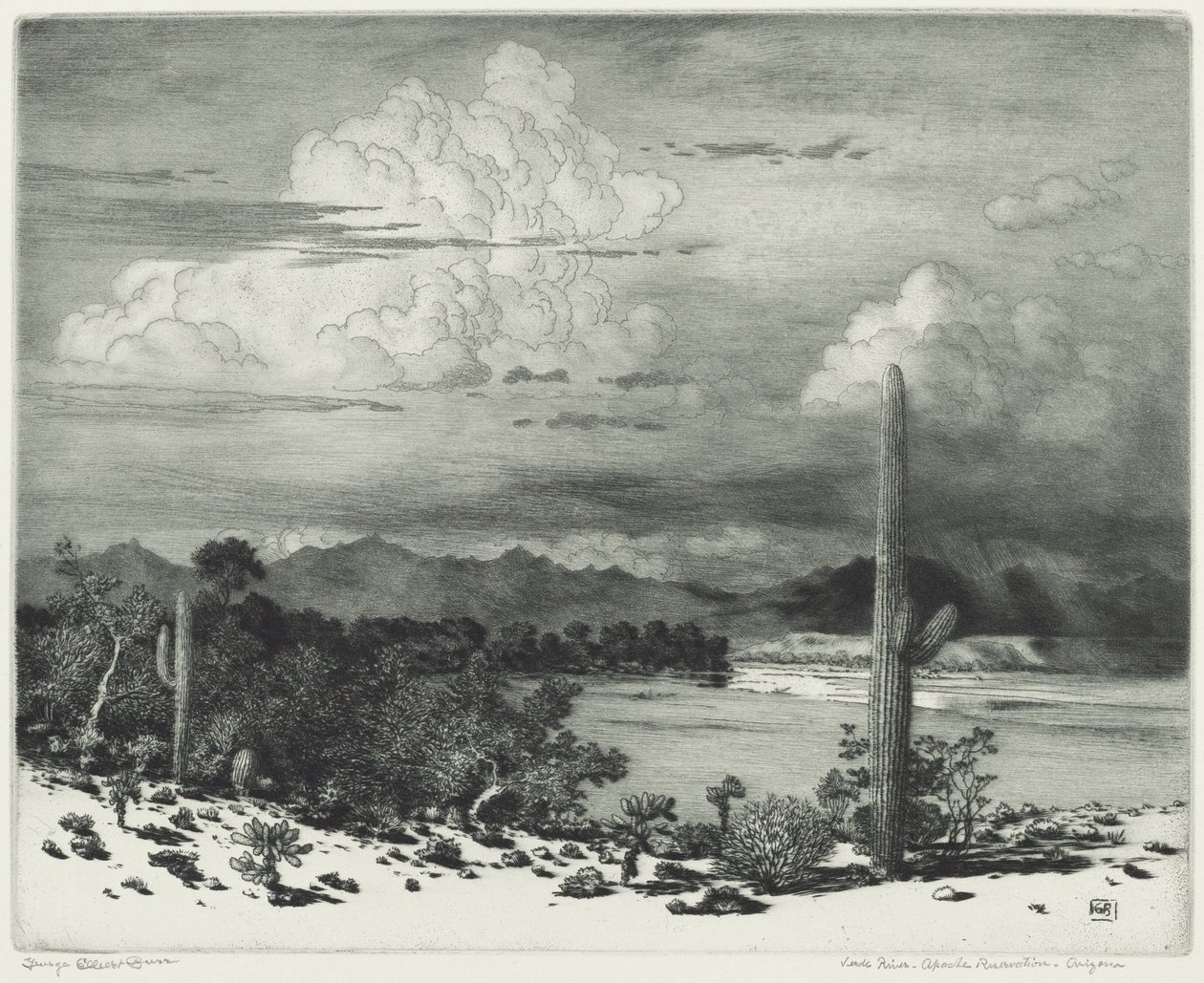 Fiume Verde, Riserva Apache, Arizona da George Elbert Burr