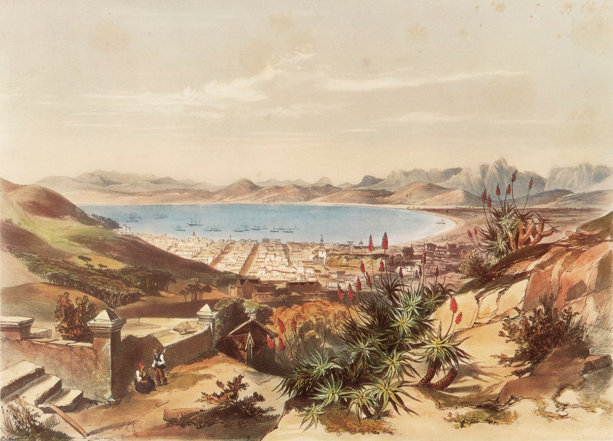 Città del Capo da George French Angas